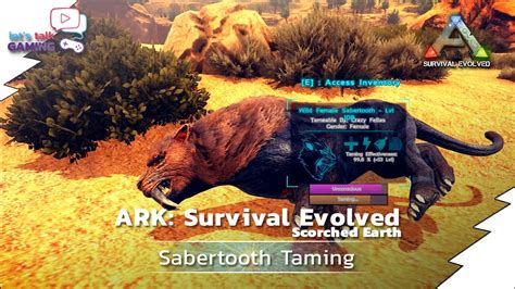 ARK Scorched Earth - 09 - Sabertooth Taming with Tank - YouTube