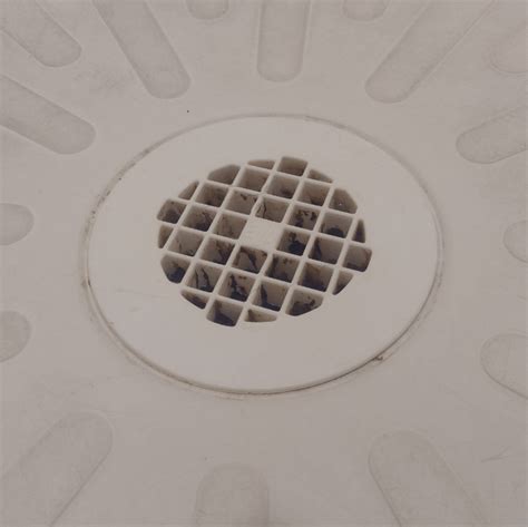 How to clean mold out of shower drain (sorry, gross pic) : r/howto