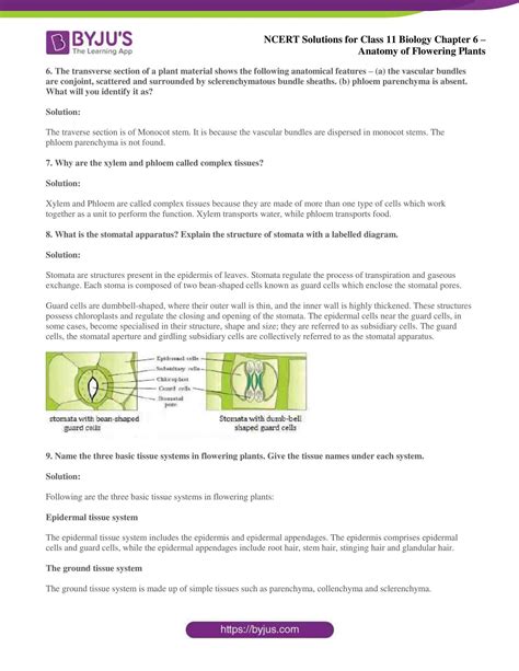 Ncert Solutions Class 11 Chapter 6 Anatomy Of Flowering Plants