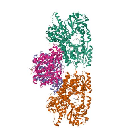 RCSB PDB 8OQM Structure Of Mycobacterium Tuberculosis Beta Oxidation