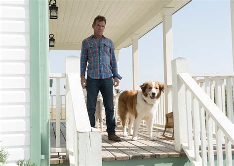 Dennis Quaid Takes On Dogs Journey Into Barkness