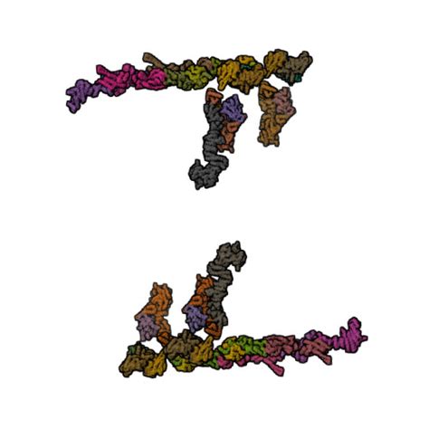 Gene Q8NFH3 Protein NUP43 Disease Association CanSAR Ai