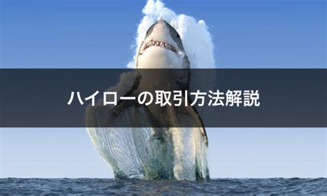 ハイローオーストラリア攻略法！勝率を上げるための必勝法を徹底解説 ミリオネアバイナリー