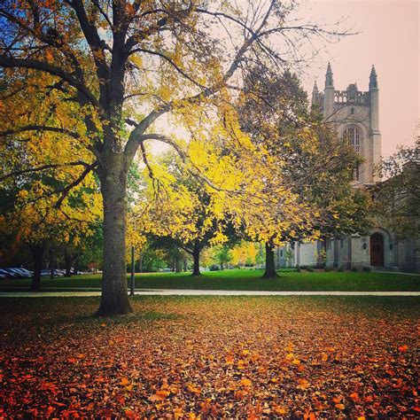 Carleton College That You Have To See College Camp