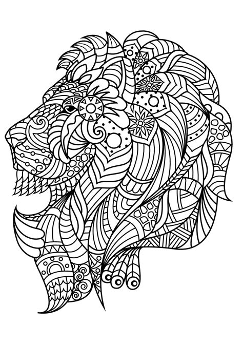 Free book lion - Lions Adult Coloring Pages