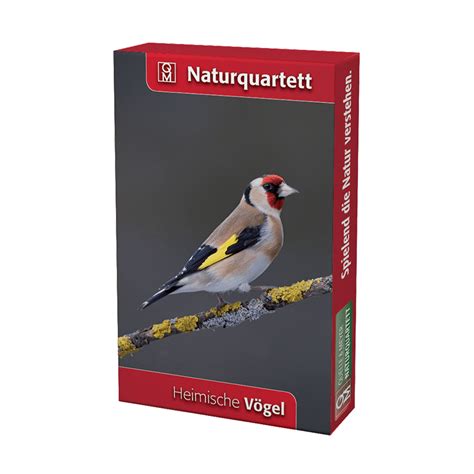 Naturquartett Heimische V Gel Djv Jagd Shop Jagdausr Stung F R