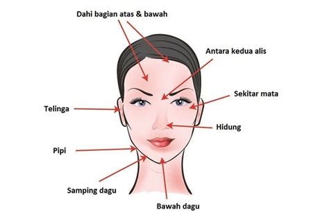 Jerawat Di Hidung Pertanda Apa