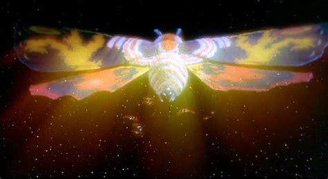 Mothra Godzilla Vs Mothra Wikizilla The Kaiju Encyclopedia