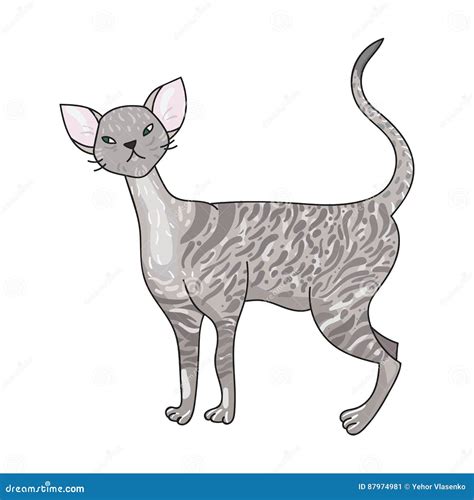 Cornish Rex Icon In Cartoon Style Isolated On White Background Cat