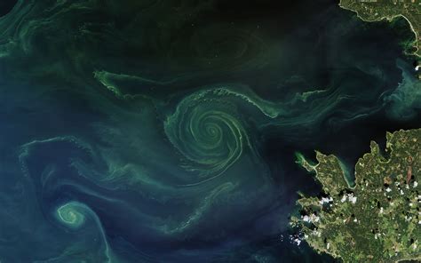 This Swirling Algae Bloom Mixes Beauty and Danger | Live Science