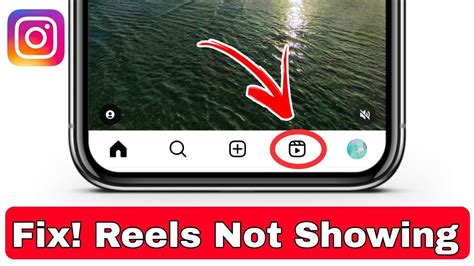 Instagram Reels Option Not Showing Reels Option Not Showing In