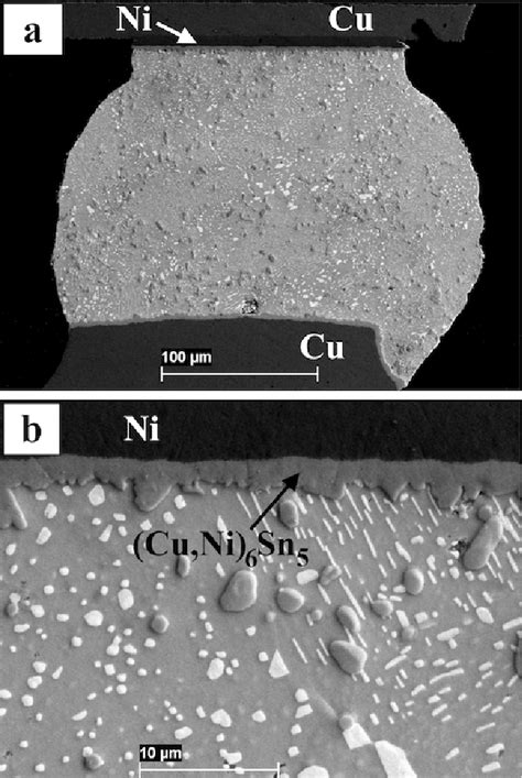 A A Sem Image Of Fully Mixed Solder Joint After Reflow At 200c The Download Scientific