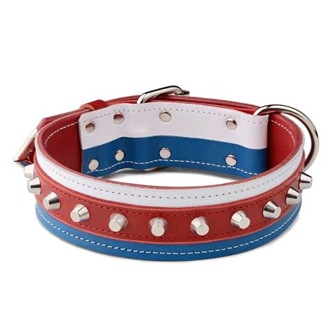 Spiked Dog Collars | DOGMOUNT