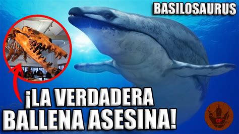 La Verdadera Ballena Asesina Basilosaurus Youtube