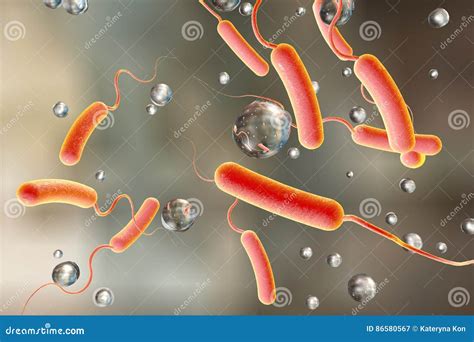 Vibrio Cholerae Bacterium Stock Illustration Illustration Of Experiment 86580567