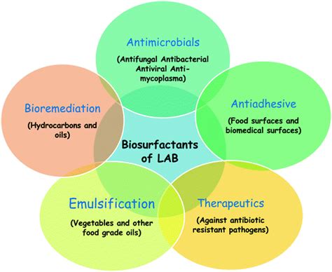 Applications Of Biosurfactants Springerlink