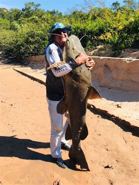 Dentista Captura Peixe De Quilos E Metro Em Rio De Ms