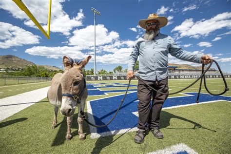 Meet The Donkeys Who Duked It Out To Become The New, Long Face Of The ...