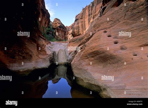 Pools In Narrow Canyon Red Cliffs Recreation Area Utah S Dixie Near St