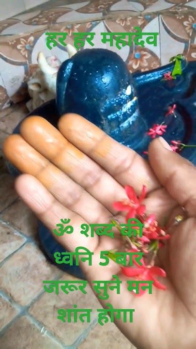 ॐ शब्द की ध्वनि 5 बार जरूर सुने मन शांत होगा Har Har Mahadev🙏🙏 Youtube