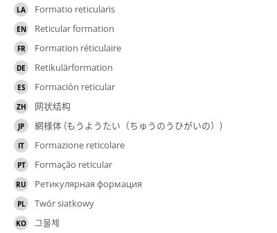 Reticular formation - e-Anatomy - IMAIOS