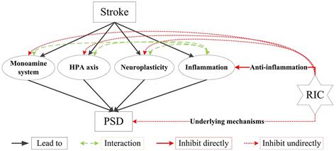 Frontiers Remote Ischemic Conditioning A Novel Non Invasive Approach