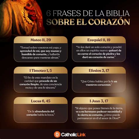 Infograf A Frases De La Biblia Sobre El Coraz N Catholic Link Sexiz Pix