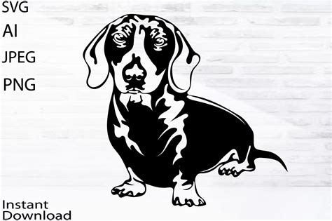 Dachshund Svgpngaivector Pet Graphic By Nazarovatetyana21