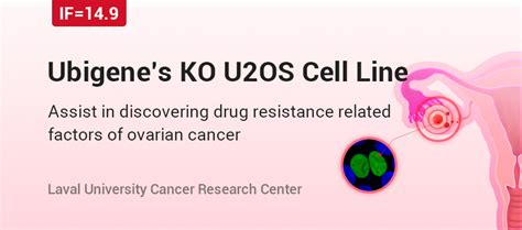 Znf Knockout U Os Cell Line Helped Discover Drug Resistance Related