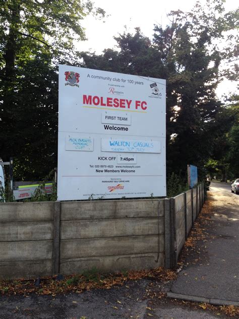 Hopping all over the World: Molesey