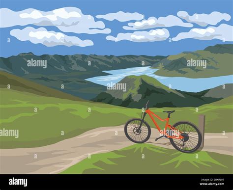 Woman Mountain Biking Stock Vector Images Alamy