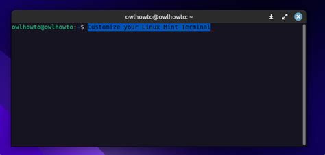 How To Customize Terminal On Linux Mint In 2023 Linux Mint Linux Mint