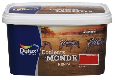 Peinture Couleurs Du Monde Kenya Moyen Satin 2L5 DULUX VALENTINE Le