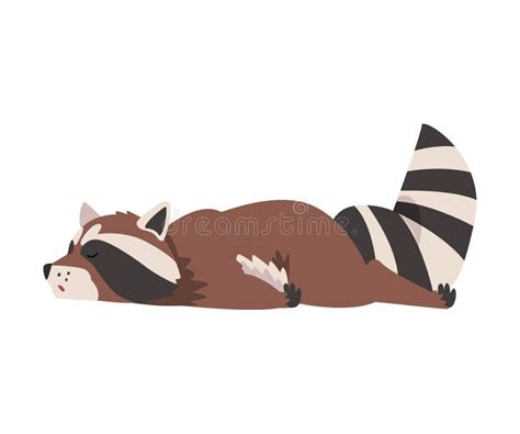 Cute Funny Sleeping Raccoon Lovely Wild Forest Animal Cartoon