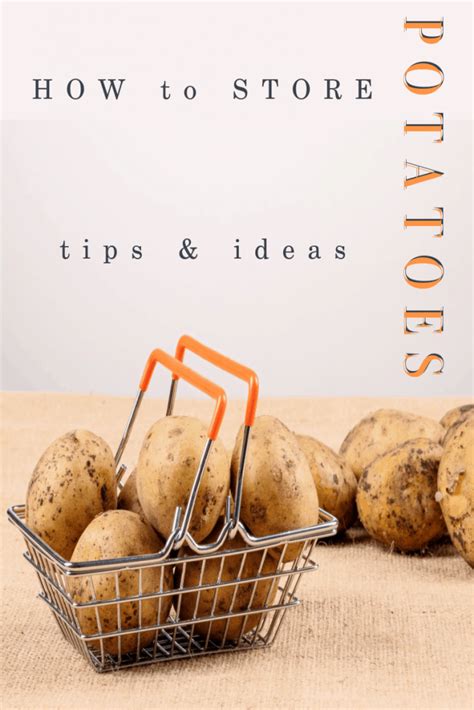 How to Store Potatoes Ideas & Tips - Organized 31