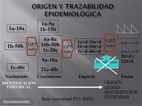 Trazabilidad Carnes Ppt