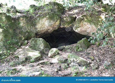 The Entrance To the Cave in the Forest Stock Image - Image of tree ...