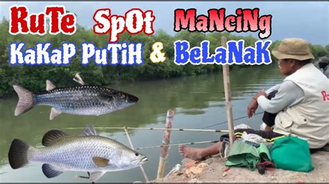 Rute Spot Mancing Kakap Putih Cukil Belanak Liar Surabaya Youtube