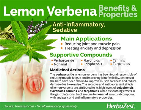 Lemon Verbena Herbazest