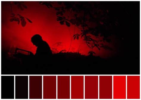 Cinema Palettes Colorseffect Twitter Movie Color Palette Color