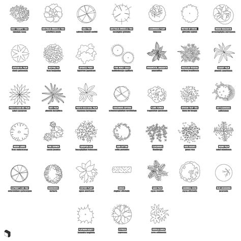 Cad Top View Trees With Names 2 Toffu Co