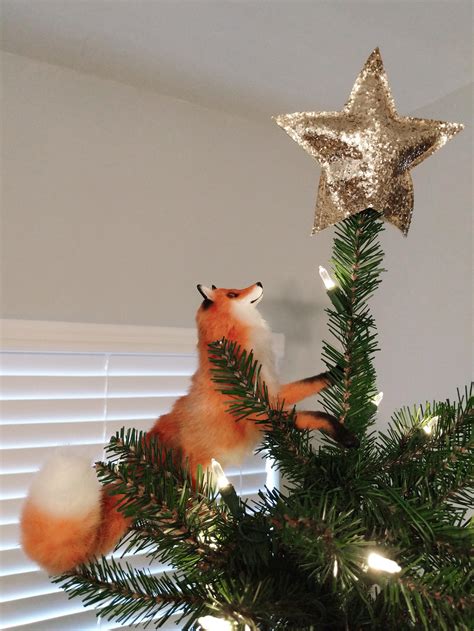 My Christmas Tree Topper. 🦊 : r/foxes