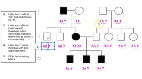 Sex Linked Pedigree Ws Help 1 Youtube