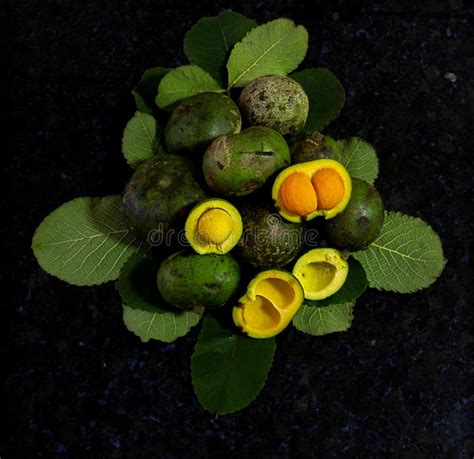 Traditional Fruit Flowers And Pequi Tree Caryocar Brasiliense