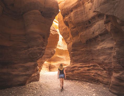 5 Unmissable Things To Do In Eilat Walk My World