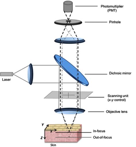 Schematic Diagram Of The Principle Of Confocal Laser Scanning Microscopy Download Scientific