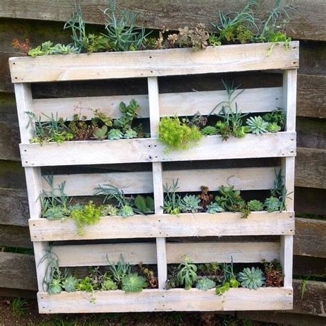 DIY Pallet Wall Planter Palmers Garden Centre