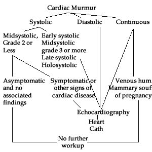 What Is A Soft Ejection Systolic Murmur - BEST HOME DESIGN IDEAS