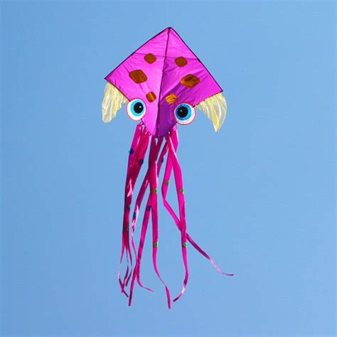 Squid Kite New Zealand S Northernmost Kite Shop