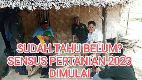 SENSUS PERTANIAN 2023 Dimulai Begini Moment BPS Lakukan Supervisi Di